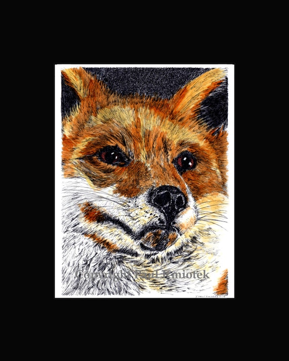 Red Fox Pen And Ink Print By Kmiotekartworks On Etsy