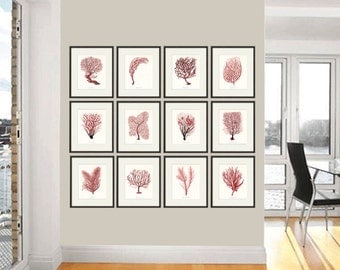Red sea coral art Nautical art print set 12 old prints ocean art print Ocean Decor nature print beach art Home decor wall art Sea art print