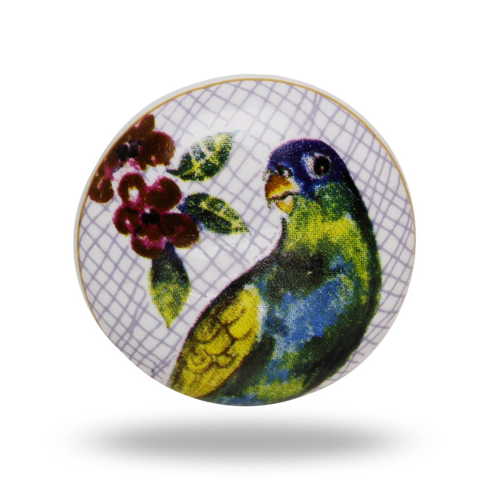 Parrot Ceramic Decorative Knob Brazil Bird Nature by TrincaFerro