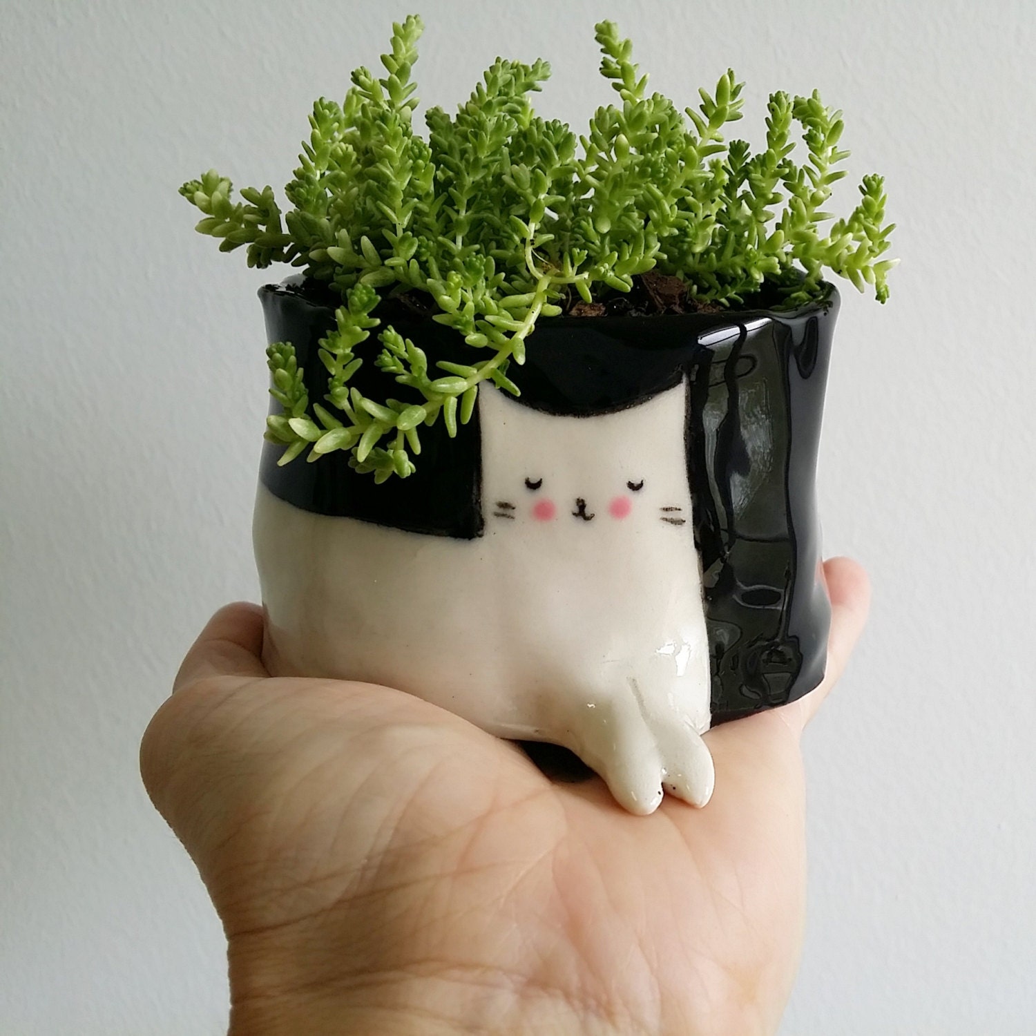  Cat  Pot  Plant small by GailCCceramics on Etsy