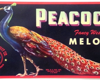 peacock canari melon