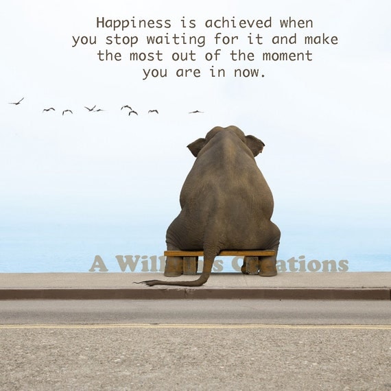 Elephant Motivational Quotes. QuotesGram