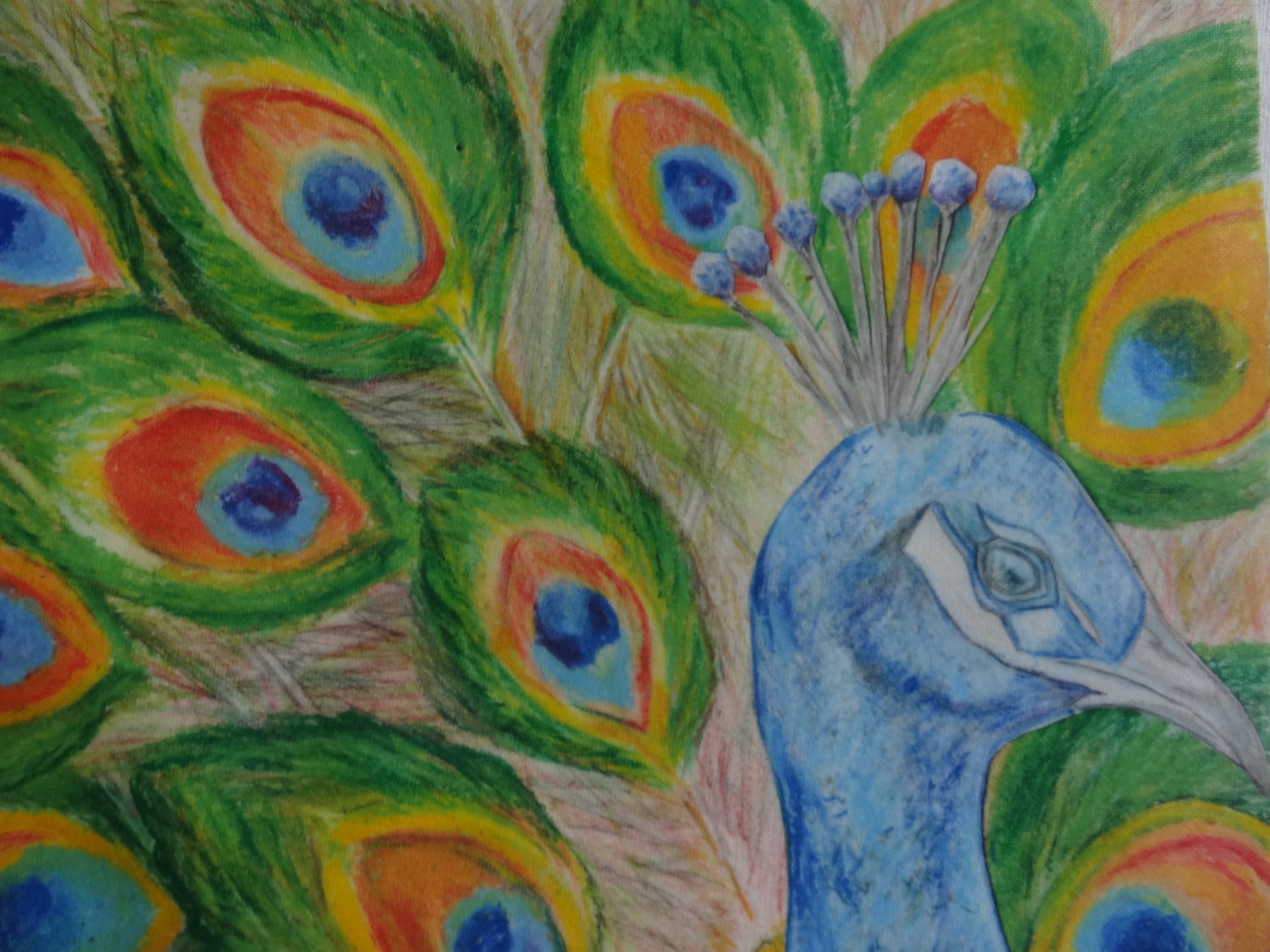 Original Peacock Oil Pastel Art available by ArtByMooncatDesigns