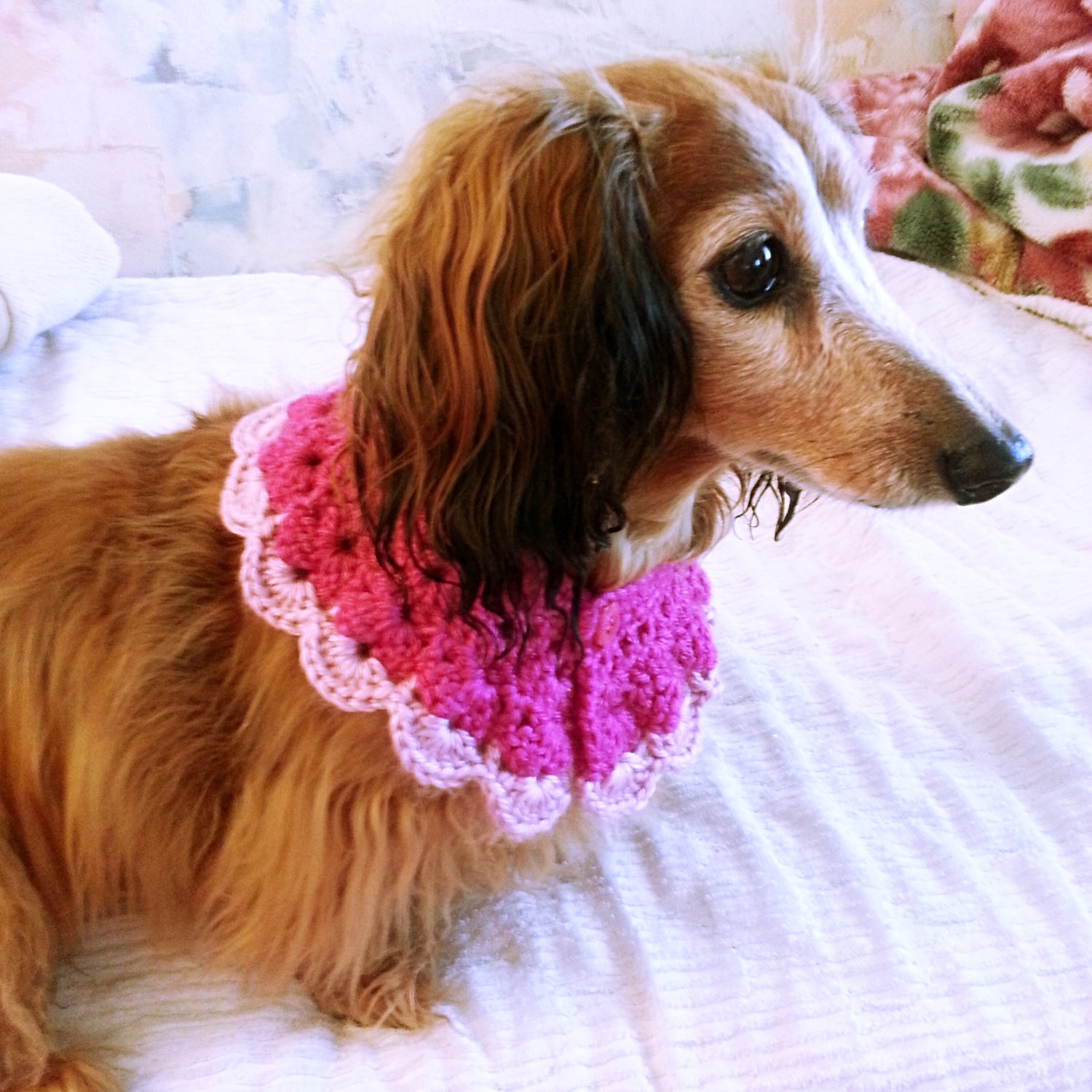 Crochet Dog Scarf Dog Collar Dog Bandana Dog Cowl Cat