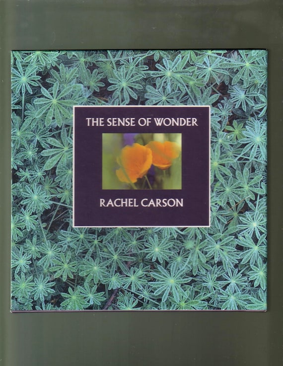 The Sense Of Wonder by Rachel Carson BOX SET by BubosBeatBoutique