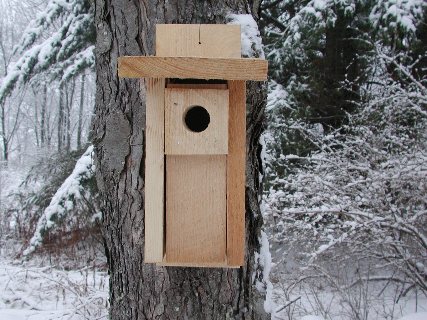 Bluebird House Bluebird Nesting Box Bird House Nesting Box