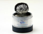 Dry Silkâ„¢ Primer -Mineral Makeup Foundation Primer -Colorless-Primer Powder -Maximum Oil Control | Acne Safe | 20 Gram Jar