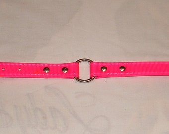 Neon Pink DayGlo Collar Beta Collar Biothane Collar Dog Collar Hound Collar Hunting Collar Stainless Steel Hardware FREE NAMEPLATE