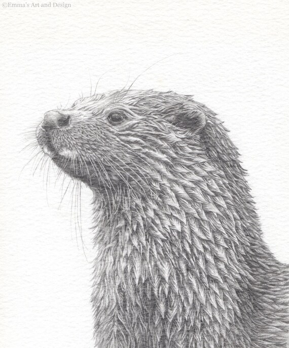 loutre de dessin monte dimpression du