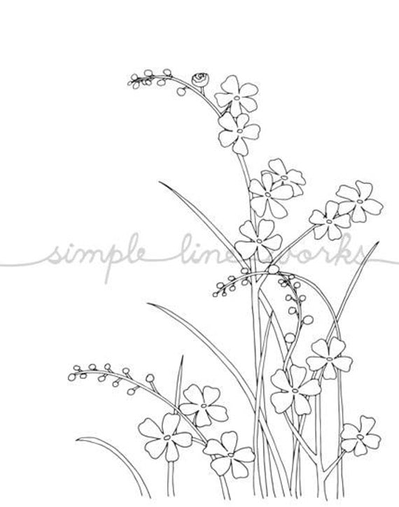 Me Not Flowers Line Drawing reproduction by simplelineworks