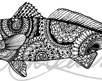 Limited Edition Zentangle Roosterfish Fish Art by andrealarko