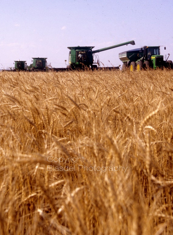 Texas Wheat Harvest sells as a digital file by blasdelphotography