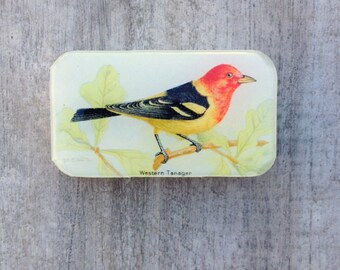 Bird Pill Box, Slider Tin, Mint Tin, Vintage bird