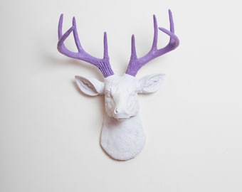 Faux Taxidermy - The MINI Wyatt - White W/ Lavender Antlers Resin Deer Head- Stag Resin White Faux Taxidermy