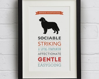 Bernese Mountain Dog Breed Traits Print