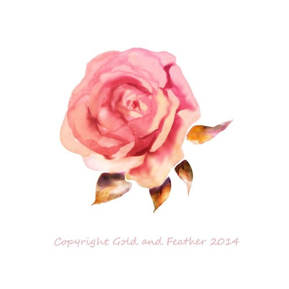 watercolor rose clipart - photo #30