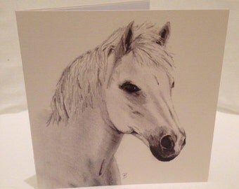 Hand Drawn Horse Greeting Card. Pencil on Paper