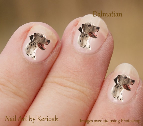 Dalmatian Nail Art Dog Nail Art Stickers Spotty Dog Nail