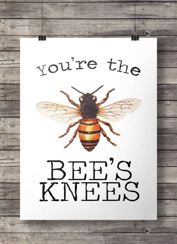 you-re-the-bee-s-knees-print-typography-honeybee