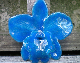 Free Shipping REAL Natural True Teal Blue ORCHID in Poly Resin Pin and Pendant