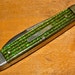 Old Vintage UTICA Cutlery Pocket Knife