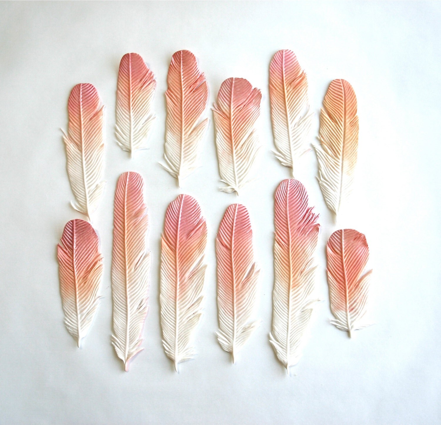 Edible Feathers custom color per 1 dozen by andiespecialtysweets