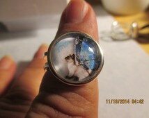 MUKTANK×SUN HUNTER “Emergence”Lace Butterfly Wing Ring main image 0