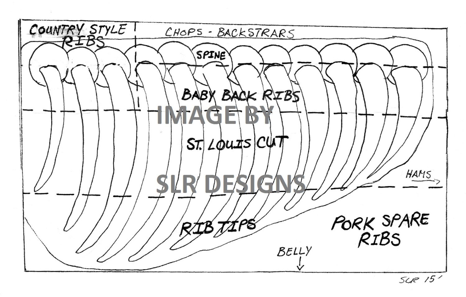 Pork Ribs Diagram