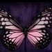 ButterflyGurl
