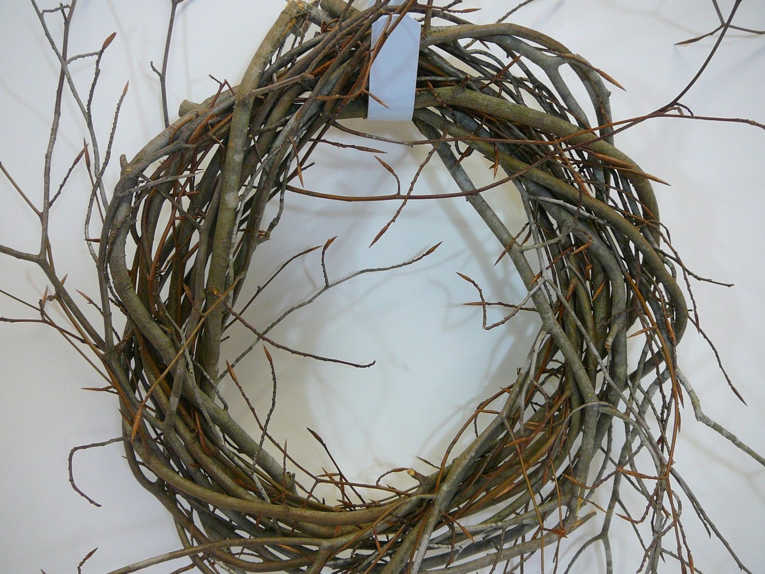 Wild Birch Wreath Bases Natural and Hand Tied 14 Inch
