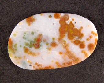 Ocean Jasper Medallion Cab / Cabochon ETOJ342