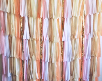 FREE SHIPPING Photo booth backdrop wedding party