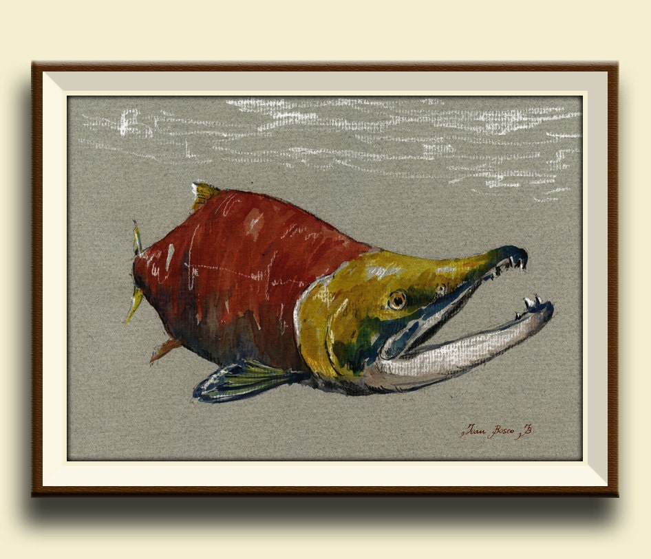PRINTSockeye Salmon fish art wall painting watercolor