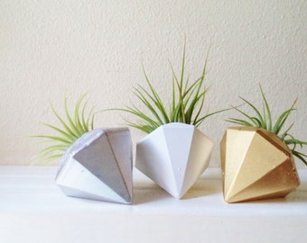gold air plant holder