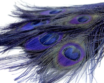4 Navy Blue Peacock Feathers - Wholesale Peacock Feathers, 4 Pieces - "Navy Blue" Peacock Tail Eye Feathers. Perfect for your DIY projects.