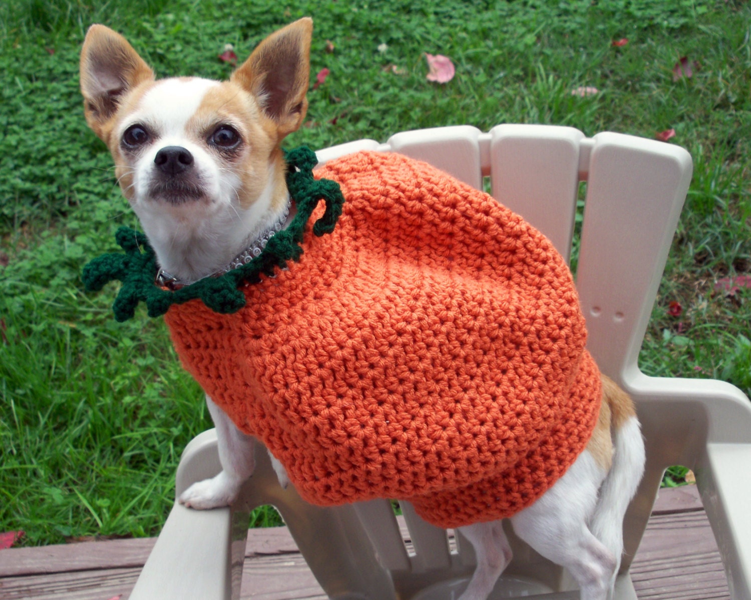 Handmade Crochet Dog Costume Pumpkin by JennyStakerInspired