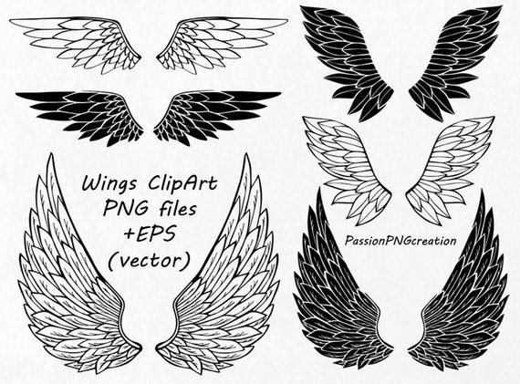 clipart money with wings - photo #16