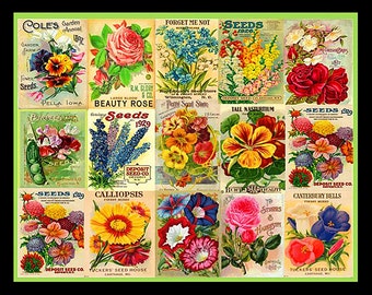 Unique vintage seed packets related items | Etsy