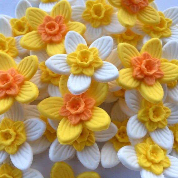 12 DAFFODILS edible sugar paste cupcake decorations toppers