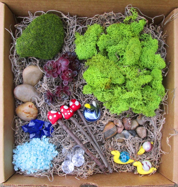 588 New fairy light terrarium 263 Blue DIY Fairy Garden Kit   Micro Terrarium Kit   Terrarium Kit 