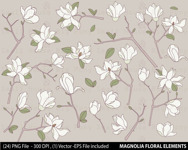 Magnolia Flower Clip art Clipart digital clip art set 24