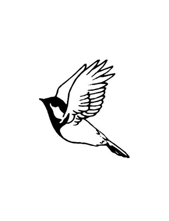 Songbird DieCut Decal Car Window Wall Bumper Phone Laptop