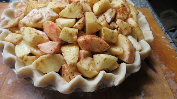 Brown Bag Apple Pie Recipe The One With The Sugar By FannieAndFlo