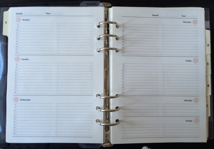 Filofax 2021 Finsbury Coral- A5, Traditional Grained Leather, 6 Rings - View #2