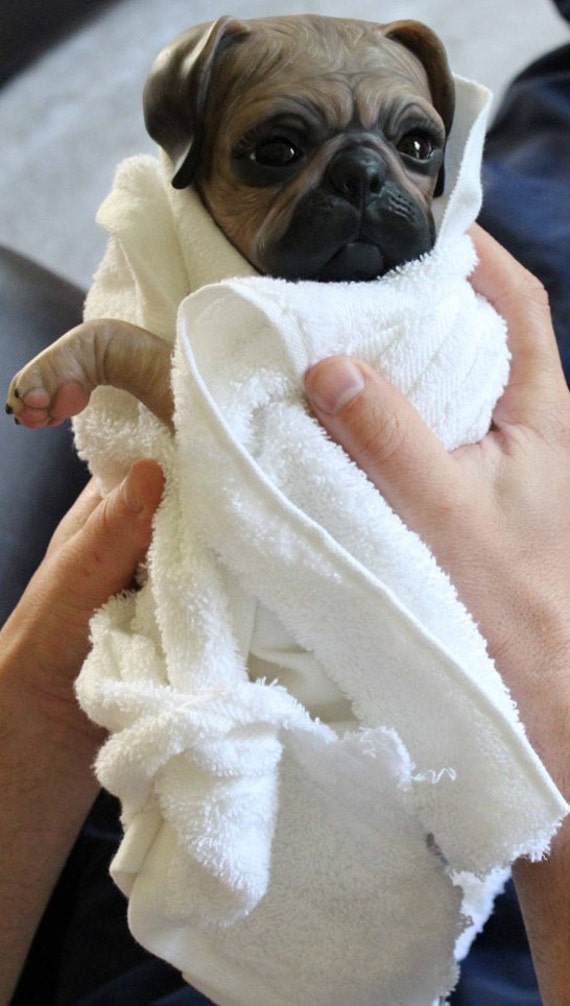 reborn puppy dolls custom reborn puppy choose color s for puppy eye color reborn puppy dolls custom reborn puppy choose color s for puppy eye color