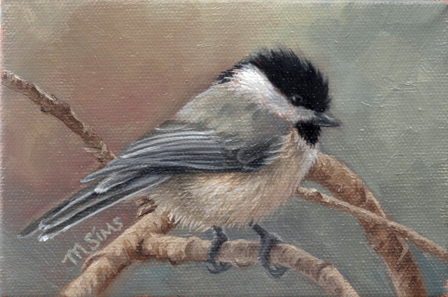 Black capped Chickadee chickadee art bird art print