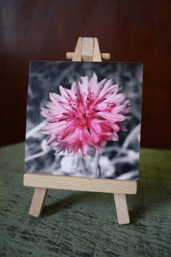Items similar to Pink Flower Mini Canvas & Easel on Etsy