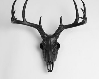 Black Deer Skull by White Faux Taxidermy / Resin Buck Animal Skull / Western Decor Animal Skull Fauxidermy / Resin Deer Skull