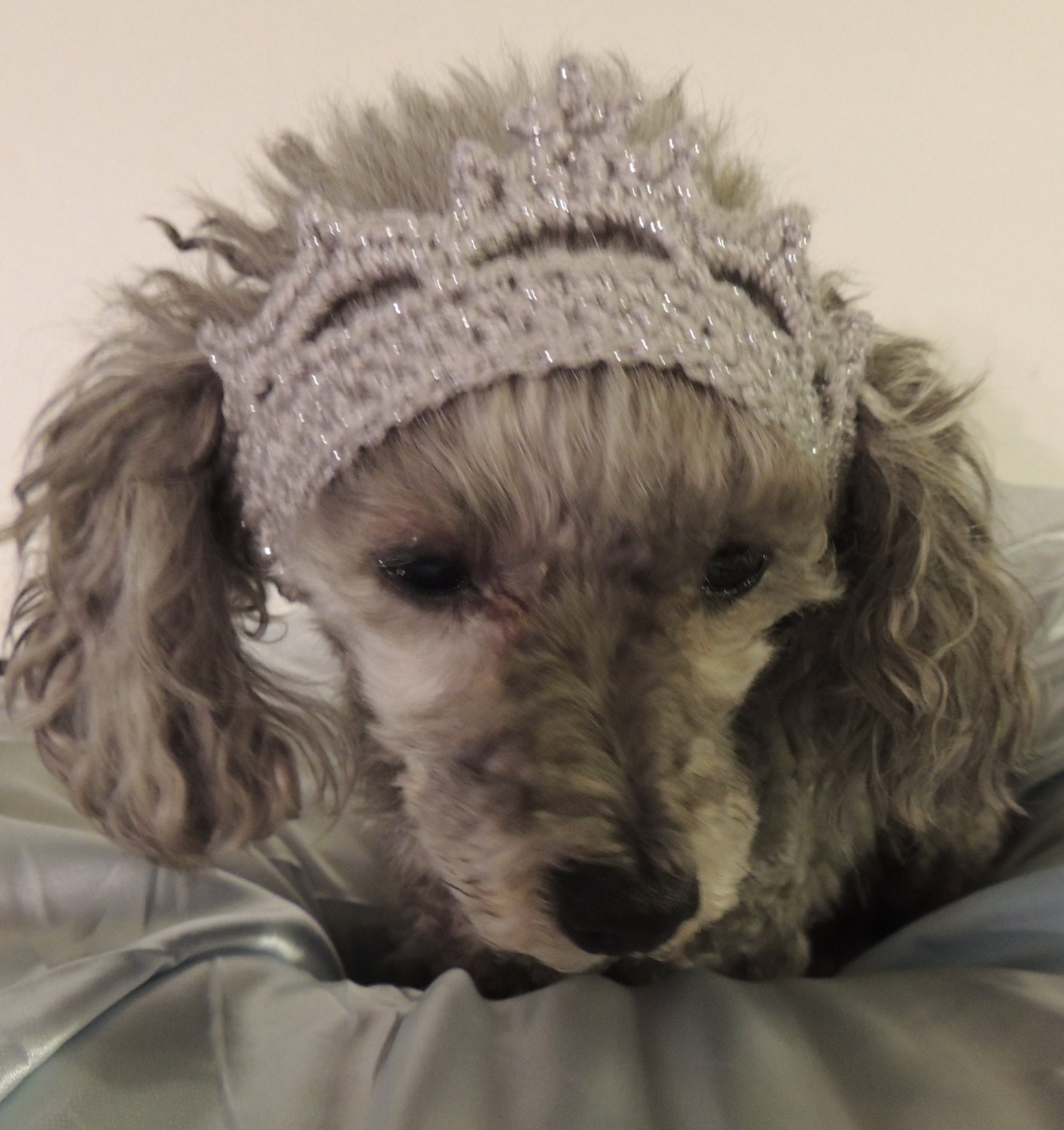 Crochet Dog Tiara Pet Tiara Crochet Dog Crown Princess