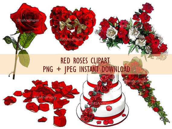 clipart rose rosse - photo #42